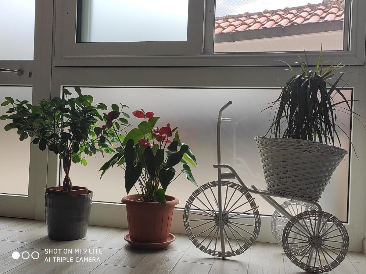 Il Labirinto Bed & Breakfast Сулмона Екстериор снимка